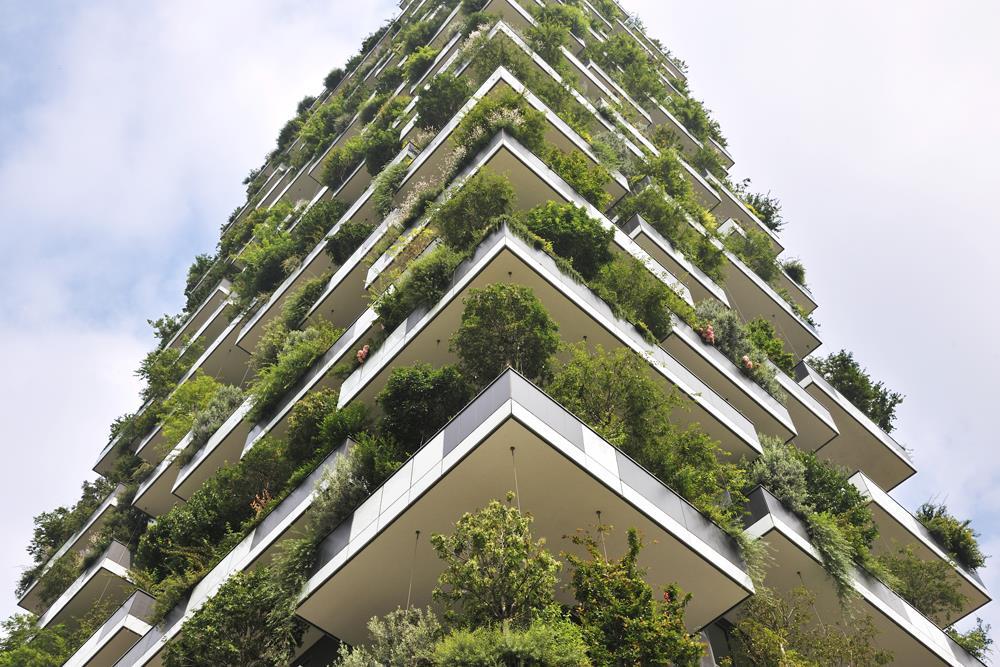 Vertical Forest: Photo 2