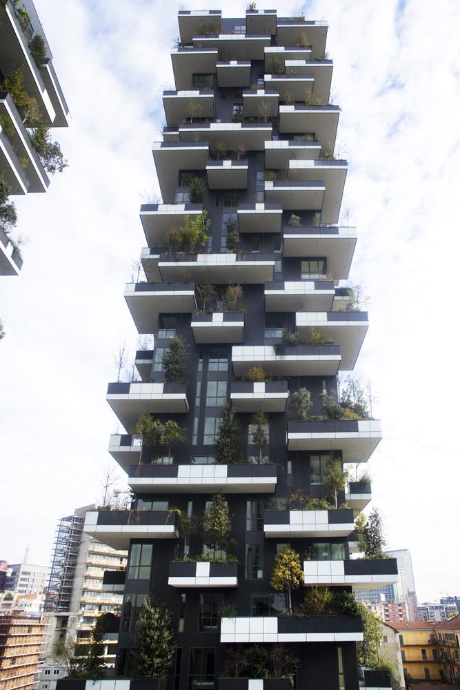 Vertical Forest: Photo 9