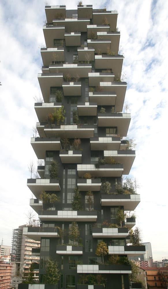 Vertical Forest: Photo 13