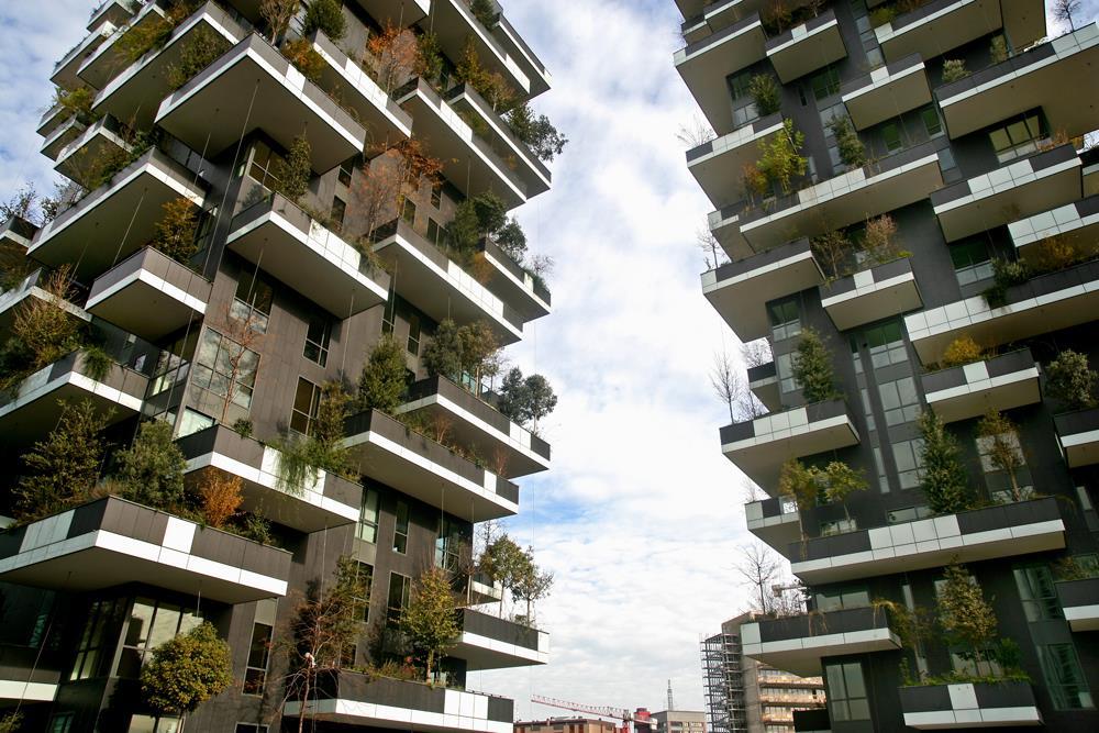 Vertical Forest: Photo 19