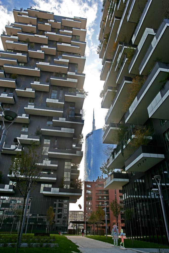 Vertical Forest: Photo 27