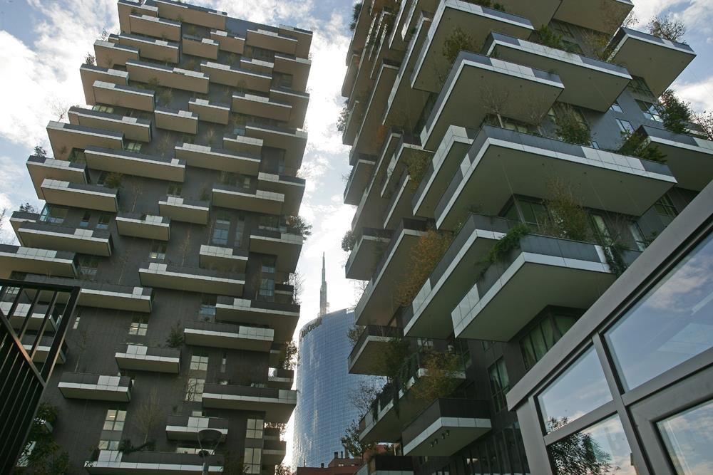 Vertical Forest: Photo 28