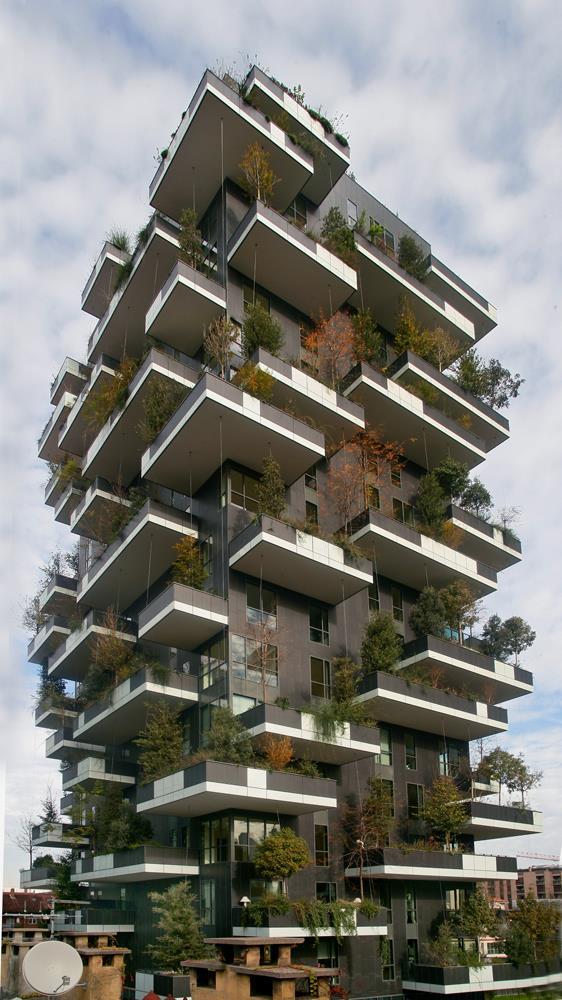 Vertical Forest: Photo 33
