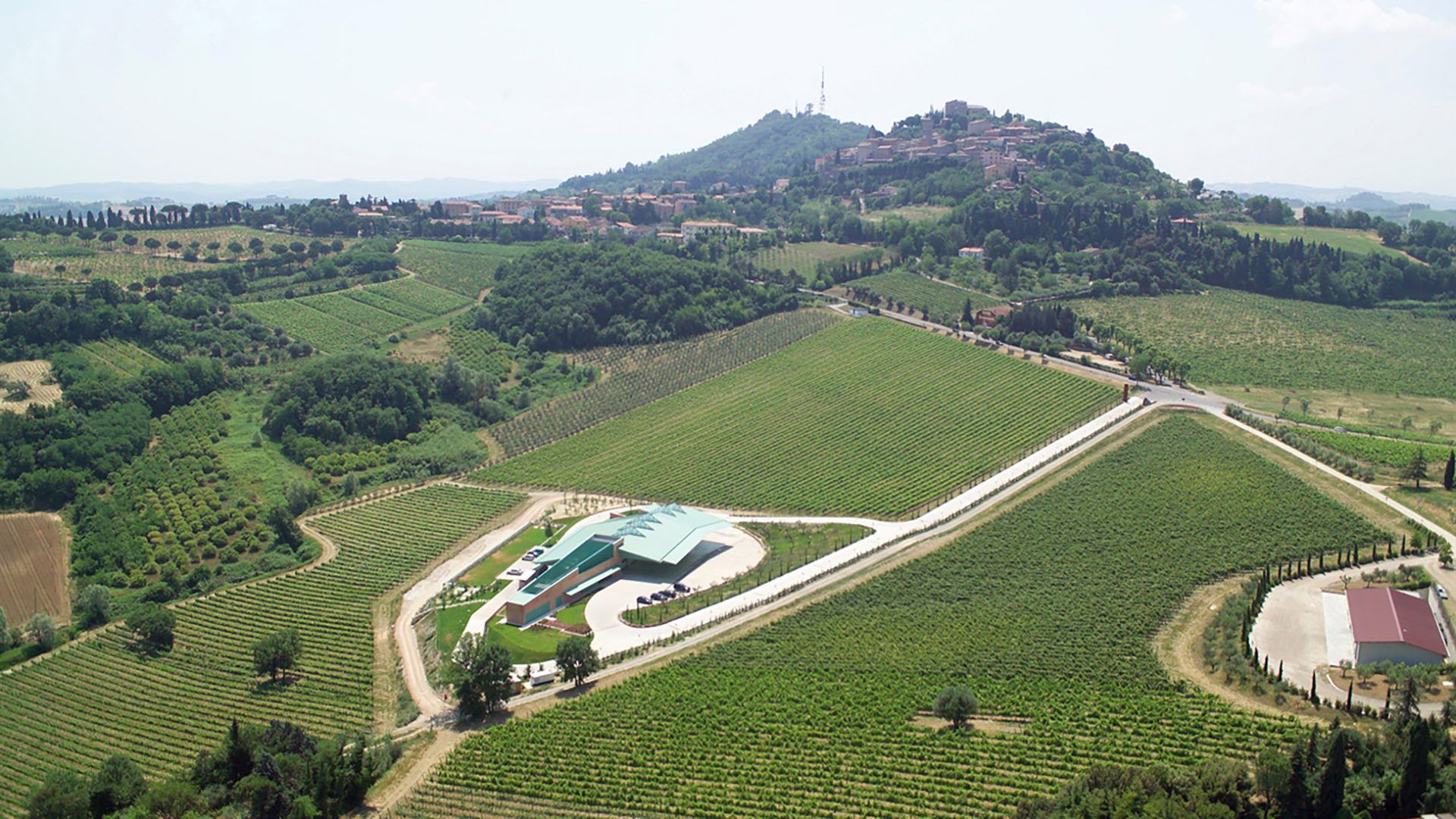 Campo del sole Cave de Bertinoro: Photo 18